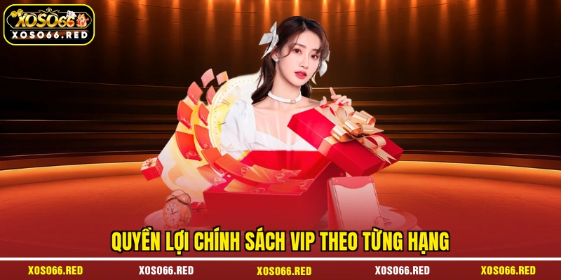Quyền lợi chính sách VIP theo từng hạng
